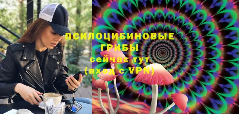 Псилоцибиновые грибы MAGIC MUSHROOMS Верея